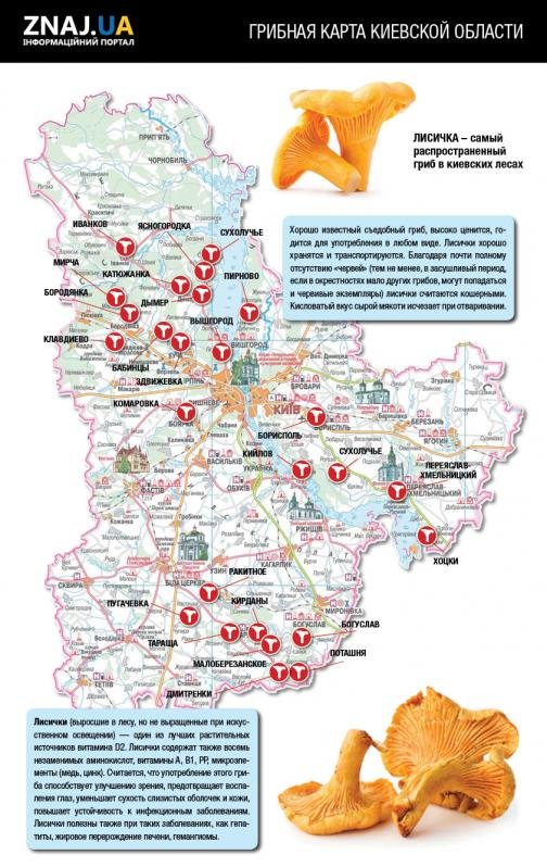 Карта грибних місць Київської області
