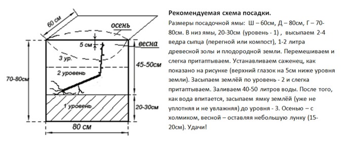 [Pwal id = 36974830 description = Щоб побачити схему посадки від Сергія Сидоряки, натисніть на одну з кнопок нижче:»]