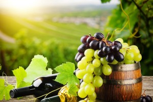 На півдні для сухого вина вибирають виноград, який містить приблизно 20% цукру