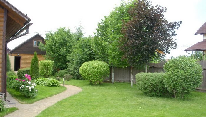 Як видно на фото, дерева в саду часто висаджуються у   альтанок   і   майданчиків відпочинку