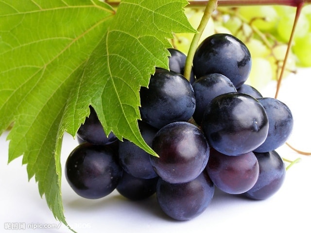 Виноград - корисний і делікатесний фрукт